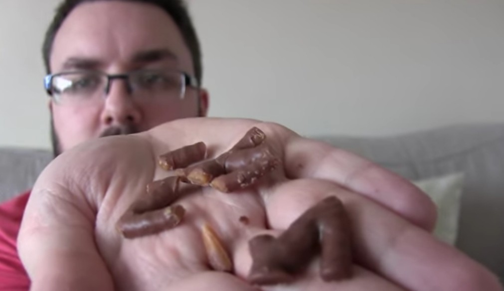 Curlywurly Acquirlies - Milk Chocolate Shaped Like A Snake 